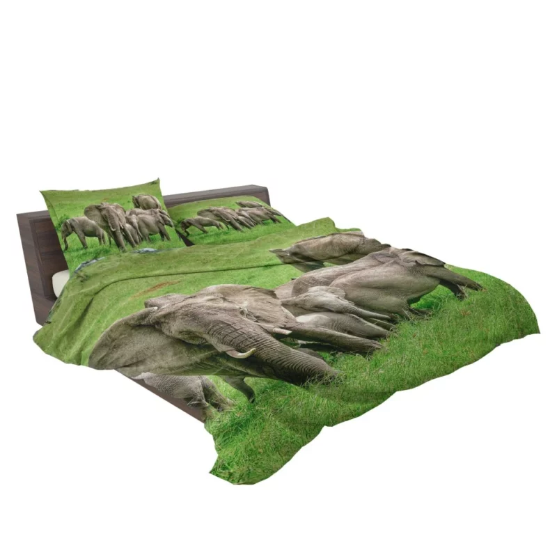 Heartwarming Bond Elephant Unity Bedding Set 2