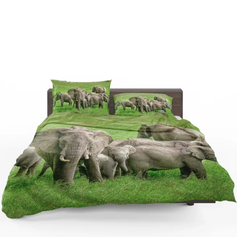 Heartwarming Bond Elephant Unity Bedding Set