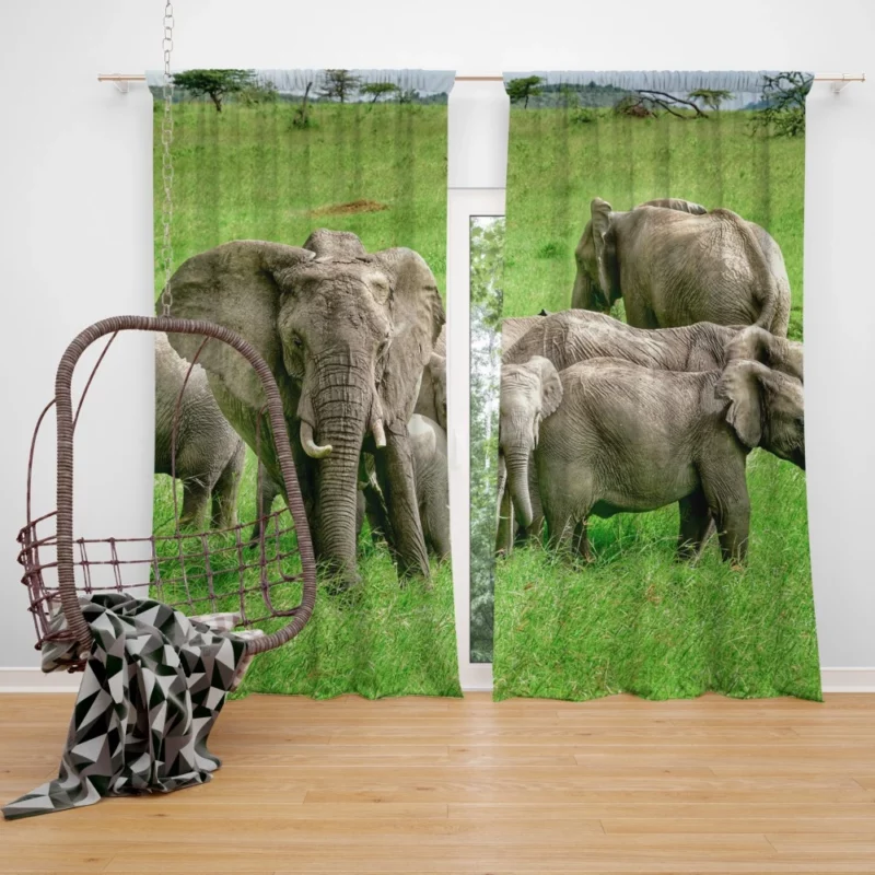 Heartwarming Bond Elephant Unity Curtain