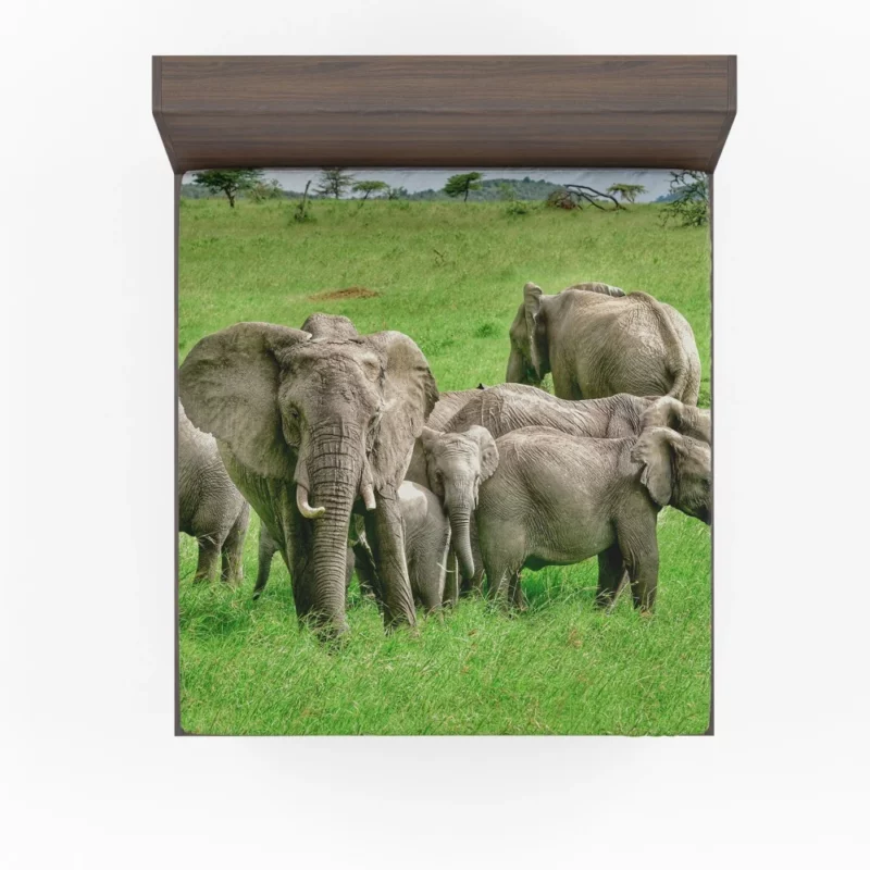 Heartwarming Bond Elephant Unity Fitted Sheet 1