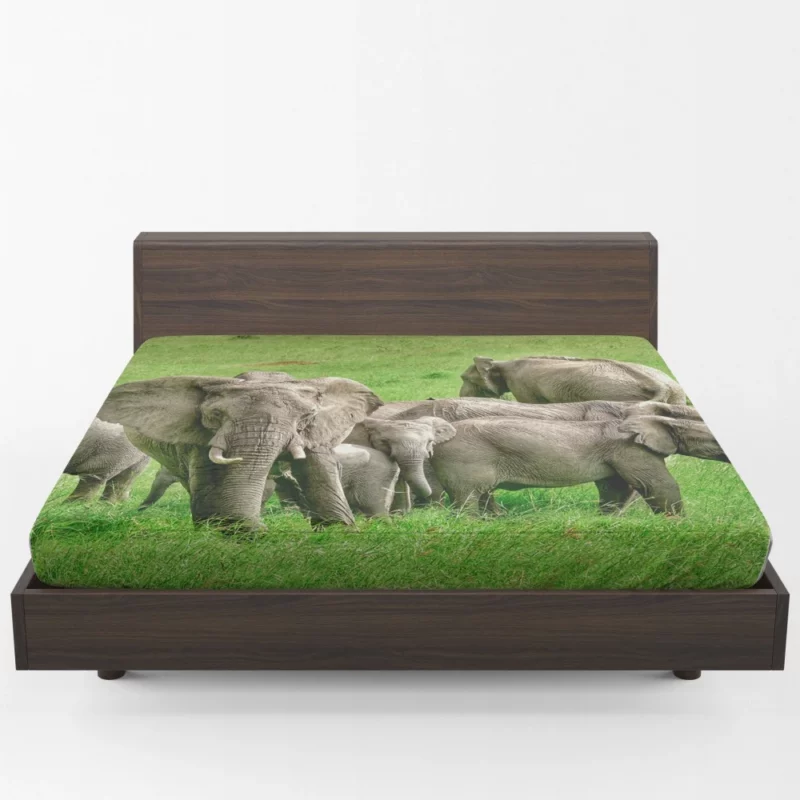 Heartwarming Bond Elephant Unity Fitted Sheet