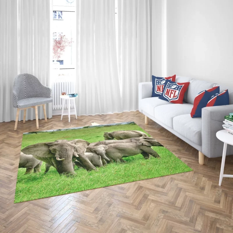 Heartwarming Bond Elephant Unity Rug 2