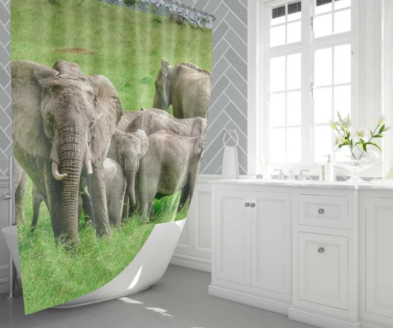 Heartwarming Bond Elephant Unity Shower Curtain 1