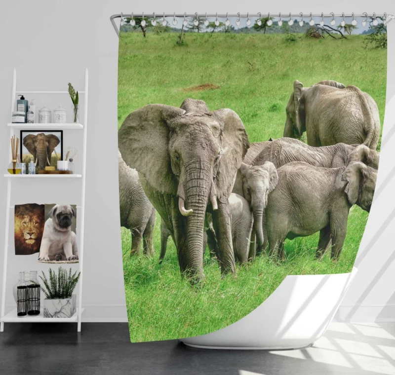 Heartwarming Bond Elephant Unity Shower Curtain