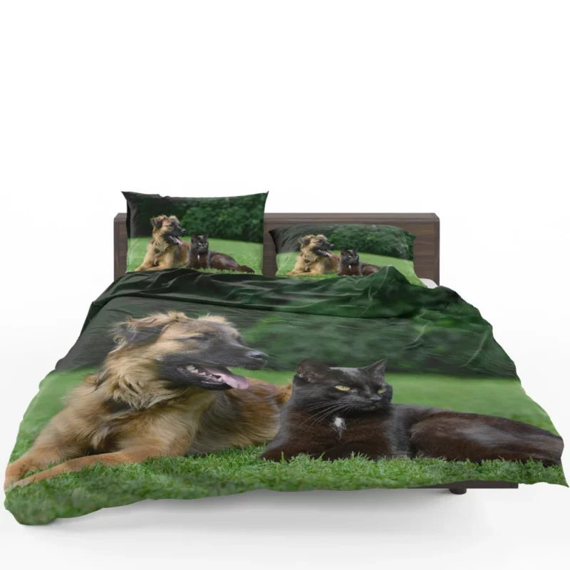 Heartwarming Cat-Dog Duo Affection Bedding Set