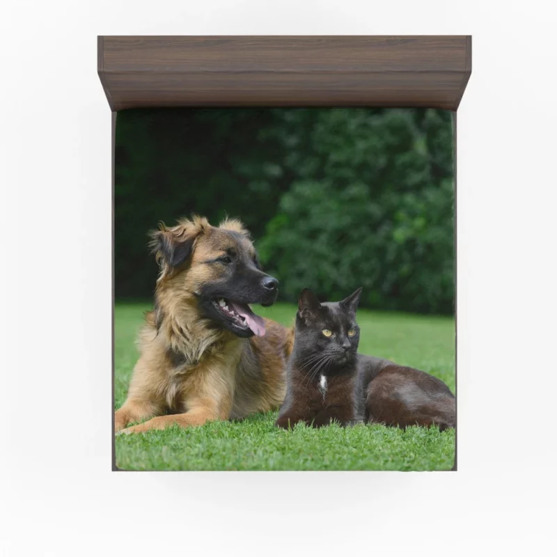 Heartwarming Cat-Dog Duo Affection Fitted Sheet 1