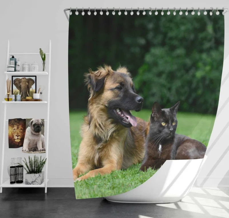 Heartwarming Cat-Dog Duo Affection Shower Curtain