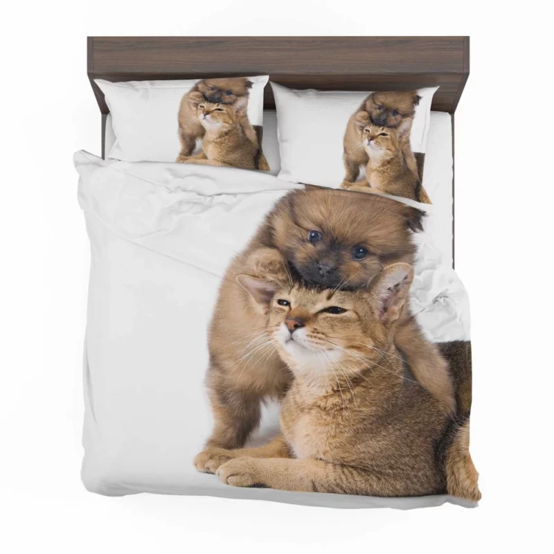 Heartwarming Cat-Dog Hug Furry Bond Bedding Set 1