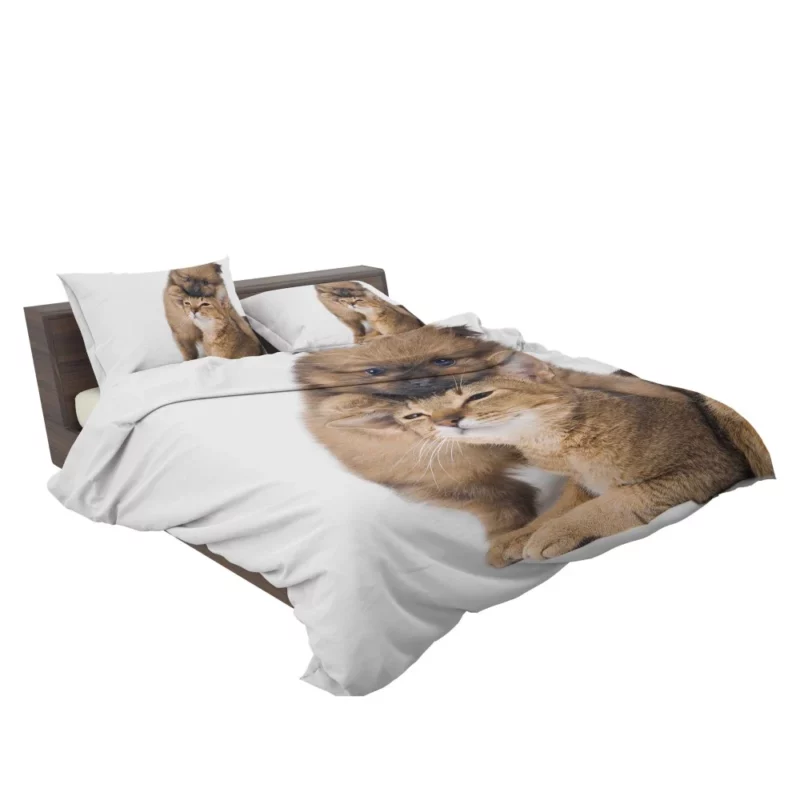 Heartwarming Cat-Dog Hug Furry Bond Bedding Set 2