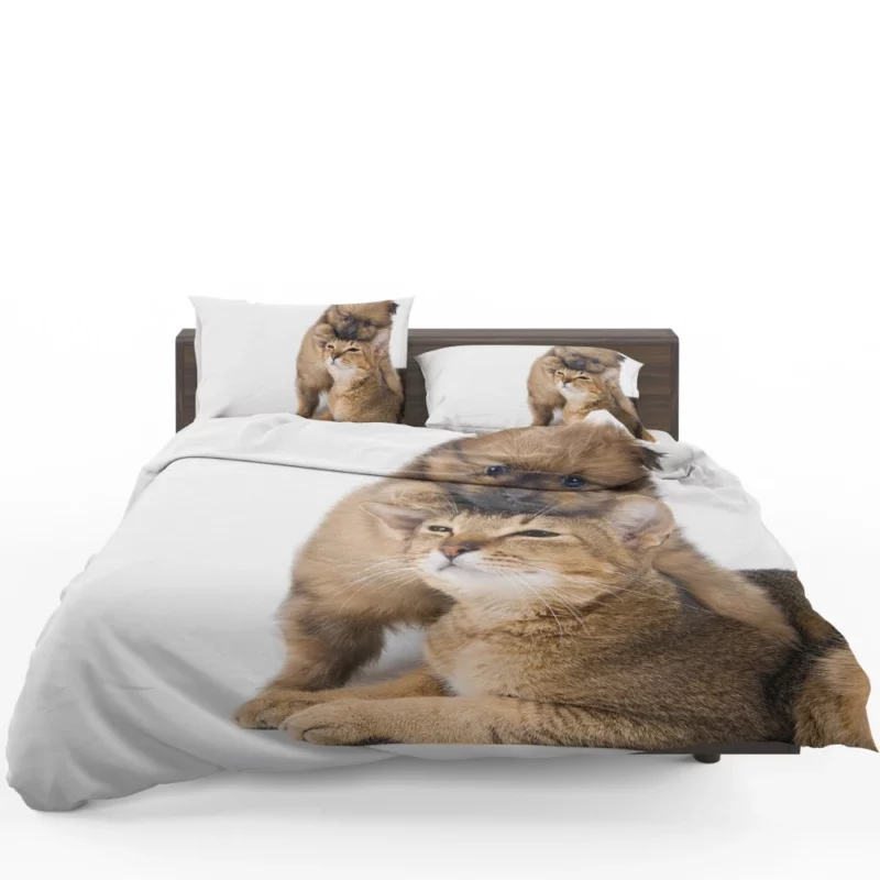 Heartwarming Cat-Dog Hug Furry Bond Bedding Set