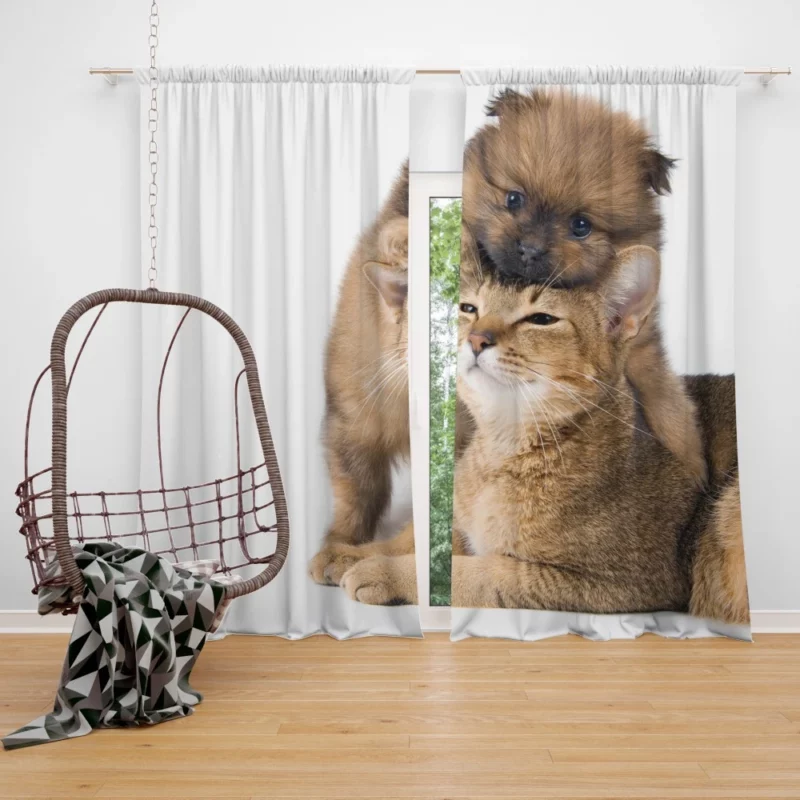 Heartwarming Cat-Dog Hug Furry Bond Curtain