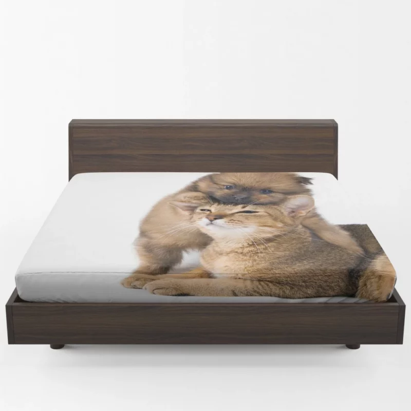 Heartwarming Cat-Dog Hug Furry Bond Fitted Sheet