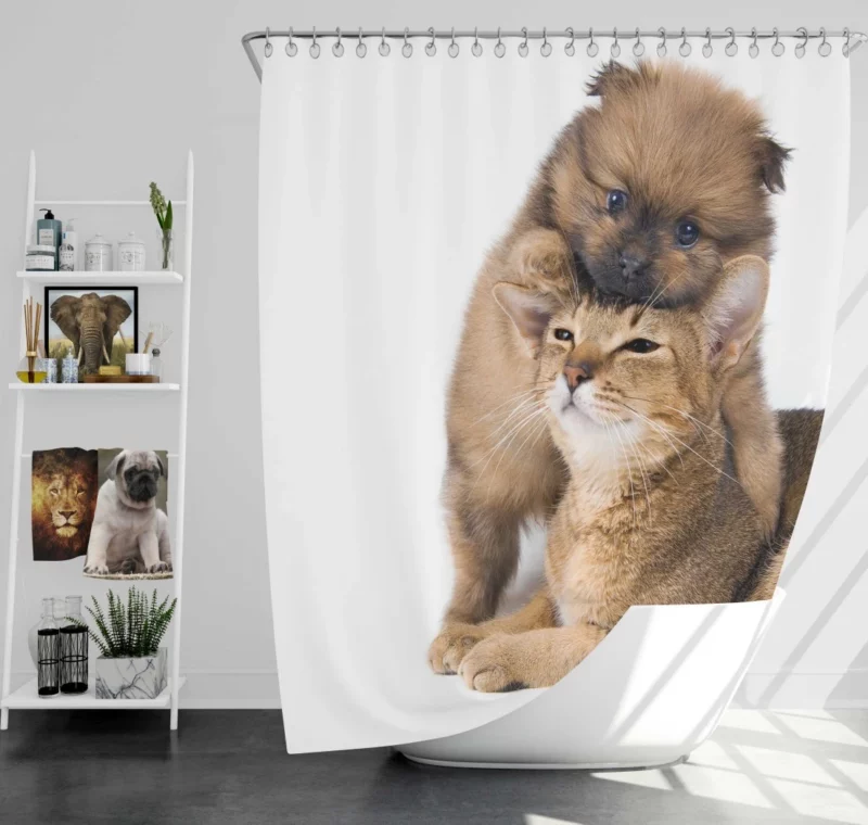 Heartwarming Cat-Dog Hug Furry Bond Shower Curtain