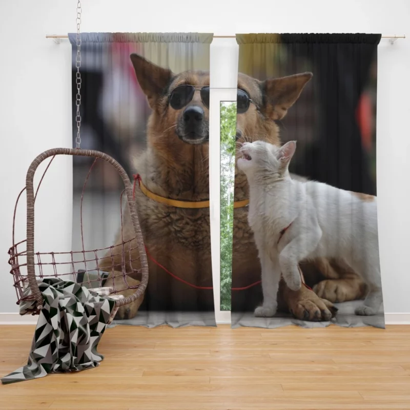 Heartwarming Connection Blind Dog and Friend Curtain