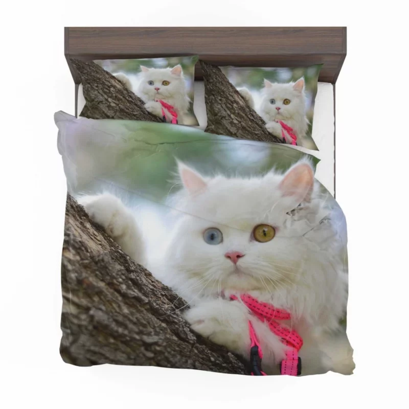 Heterochromic Cat Mesmerizing Stare Bedding Set 1