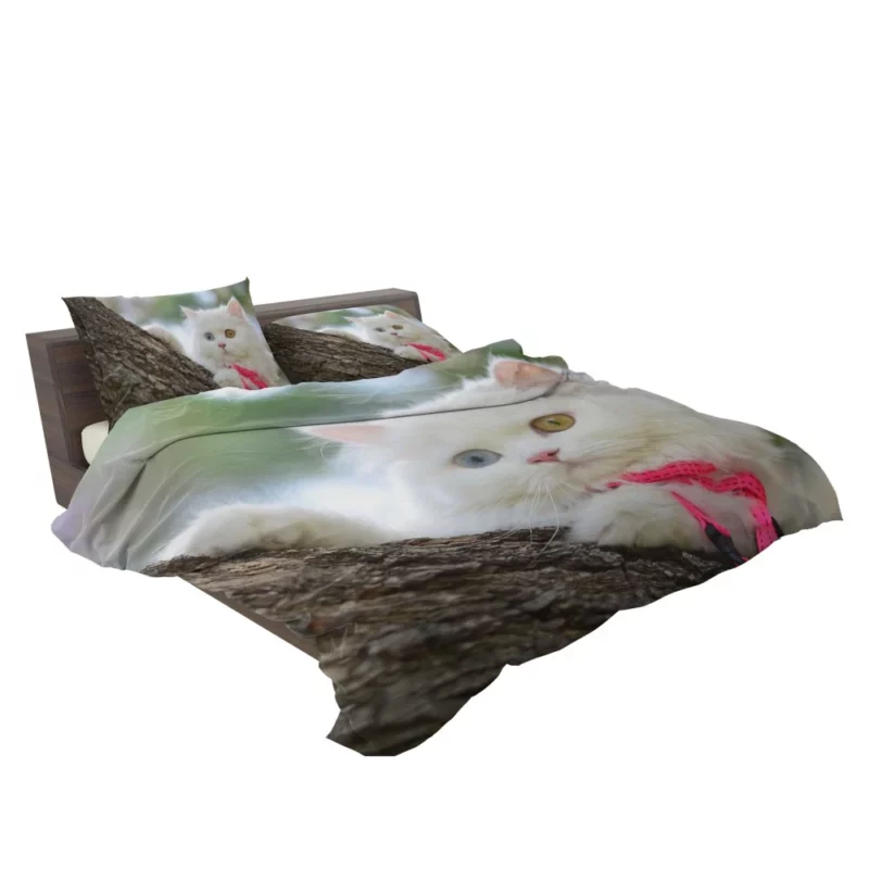 Heterochromic Cat Mesmerizing Stare Bedding Set 2