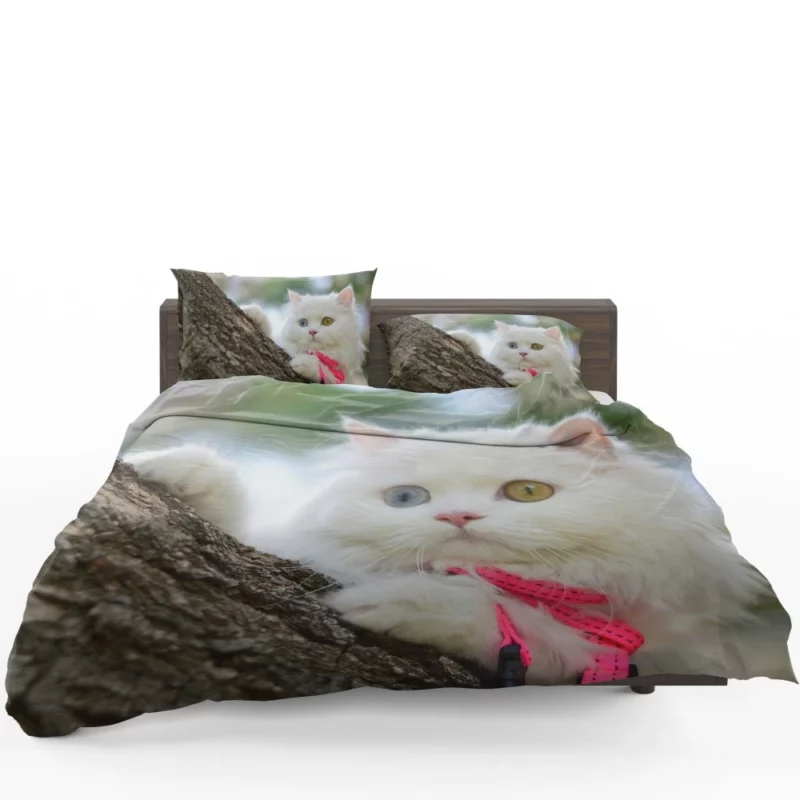 Heterochromic Cat Mesmerizing Stare Bedding Set