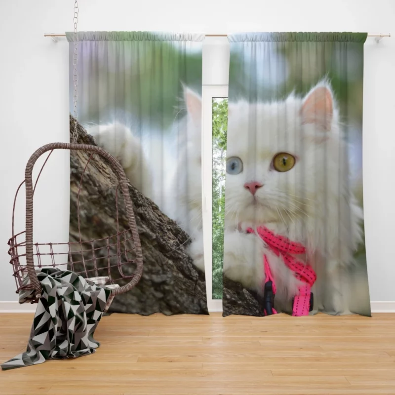 Heterochromic Cat Mesmerizing Stare Curtain