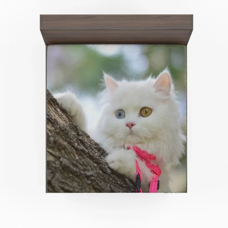 Heterochromic Cat Mesmerizing Stare Fitted Sheet 1