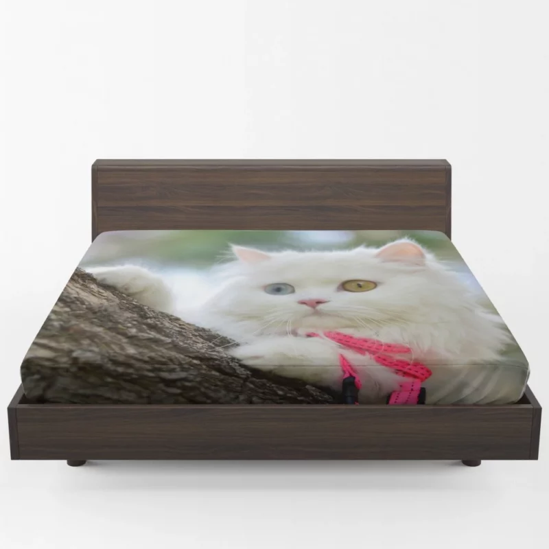 Heterochromic Cat Mesmerizing Stare Fitted Sheet