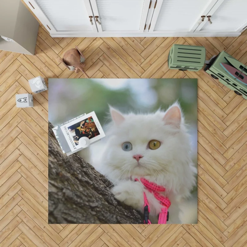 Heterochromic Cat Mesmerizing Stare Rug