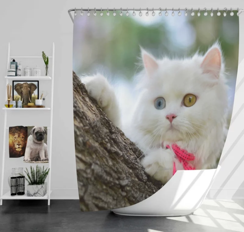 Heterochromic Cat Mesmerizing Stare Shower Curtain