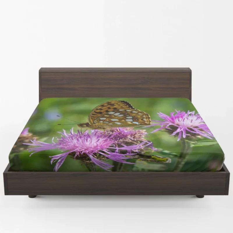 High Brown Fritillary on Brown Knapweed Fitted Sheet