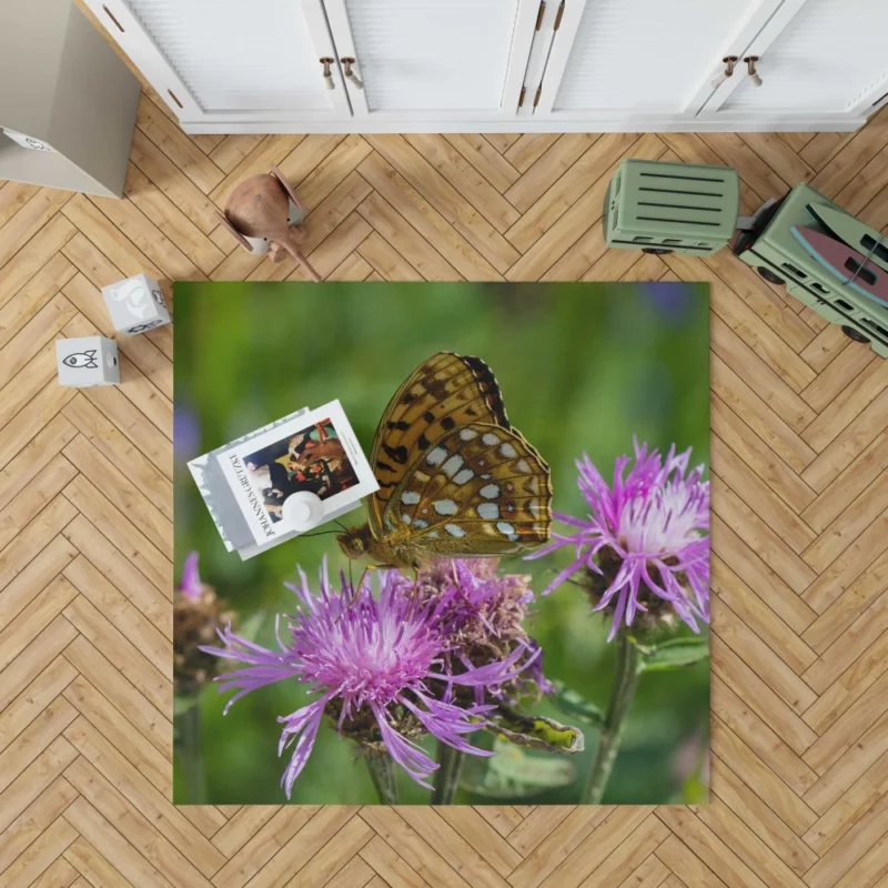 High Brown Fritillary on Brown Knapweed Rug