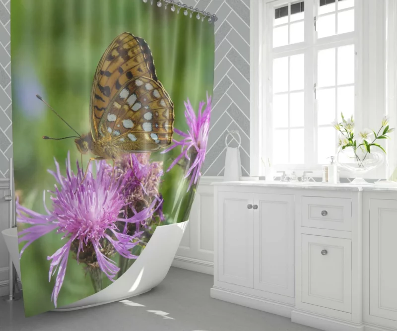 High Brown Fritillary on Brown Knapweed Shower Curtain 1