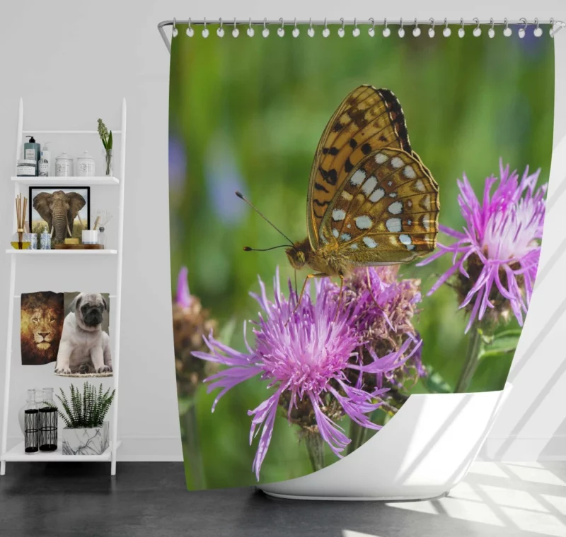 High Brown Fritillary on Brown Knapweed Shower Curtain