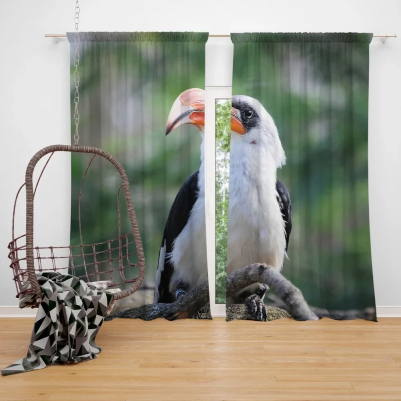 Hornbill Beak Charm Avian Wonder Curtain