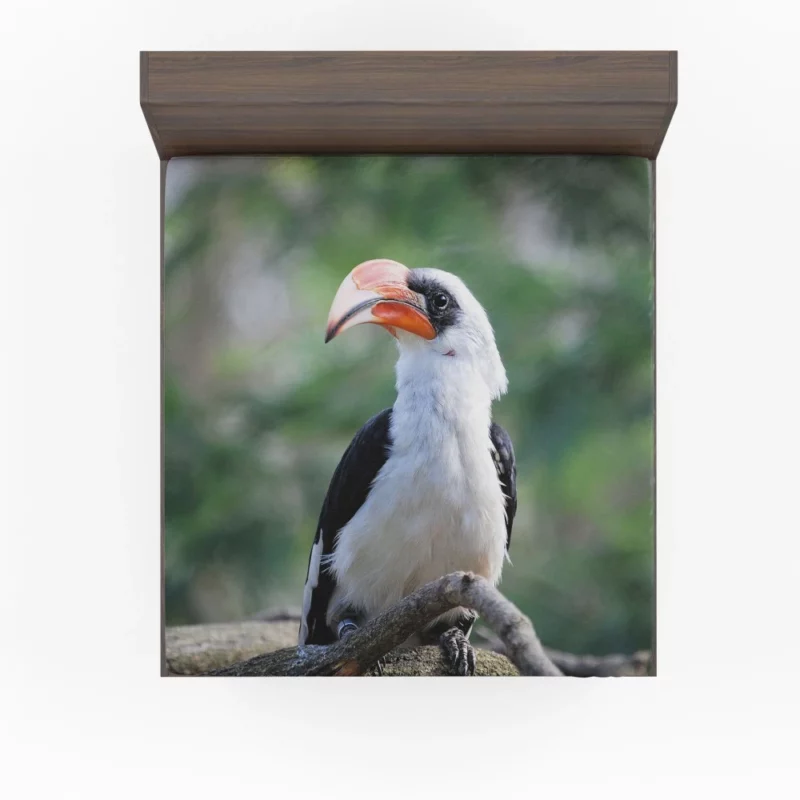 Hornbill Beak Charm Avian Wonder Fitted Sheet 1