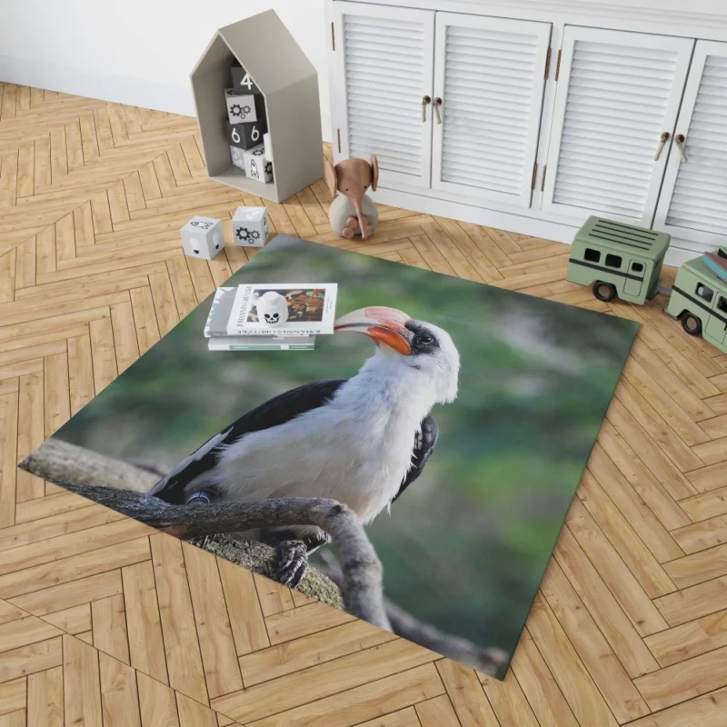 Hornbill Beak Charm Avian Wonder Rug 1