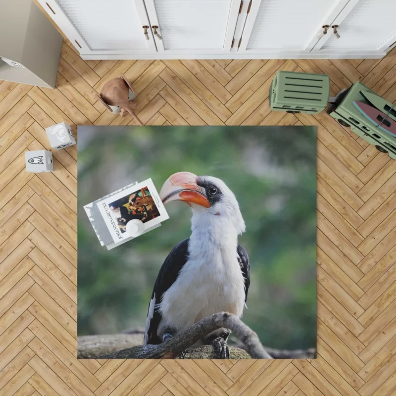 Hornbill Beak Charm Avian Wonder Rug