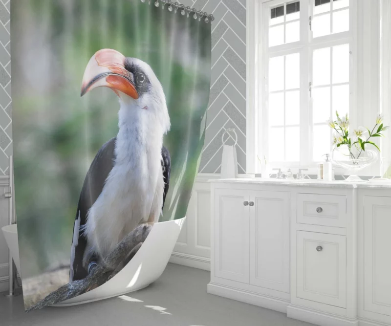 Hornbill Beak Charm Avian Wonder Shower Curtain 1