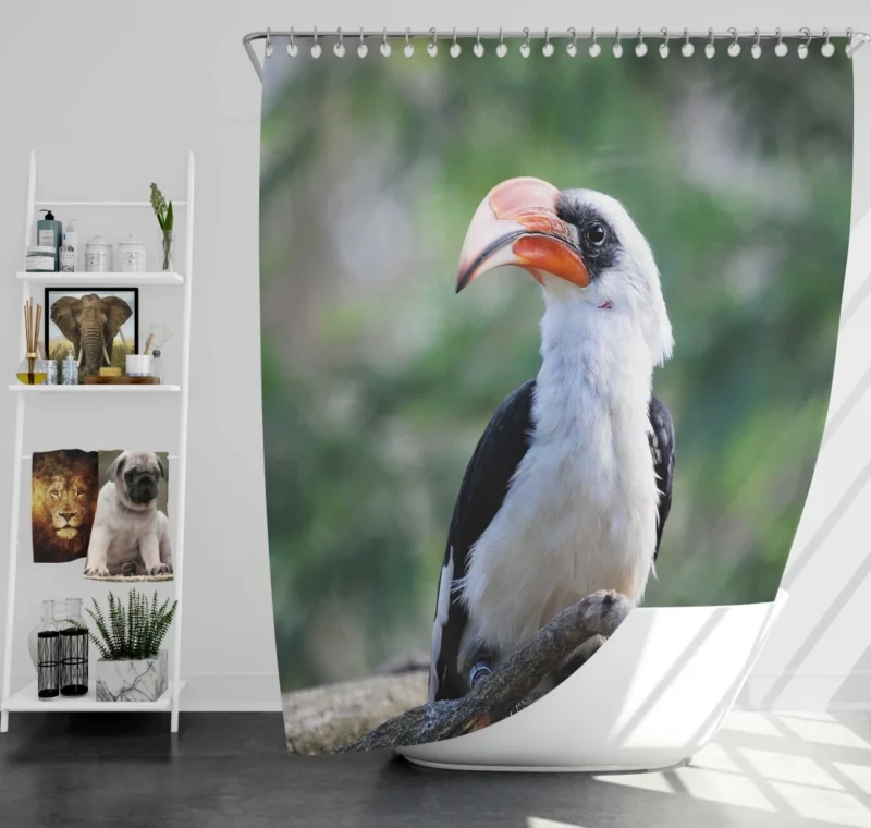 Hornbill Beak Charm Avian Wonder Shower Curtain