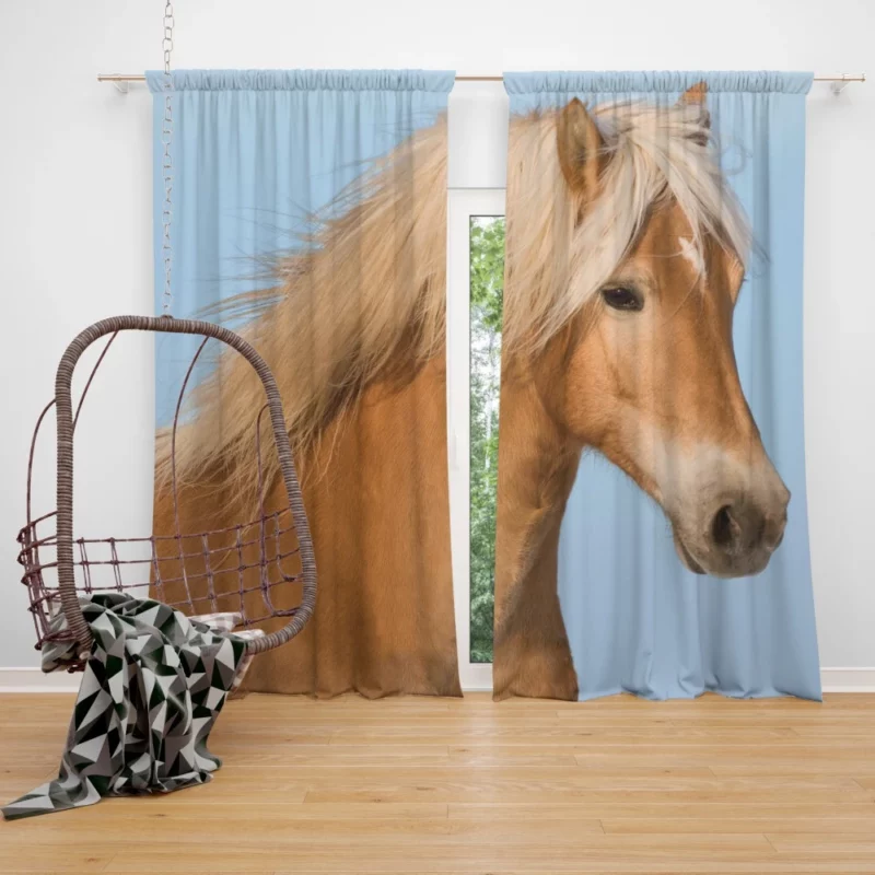 Horse Grace Majestic Elegance Curtain