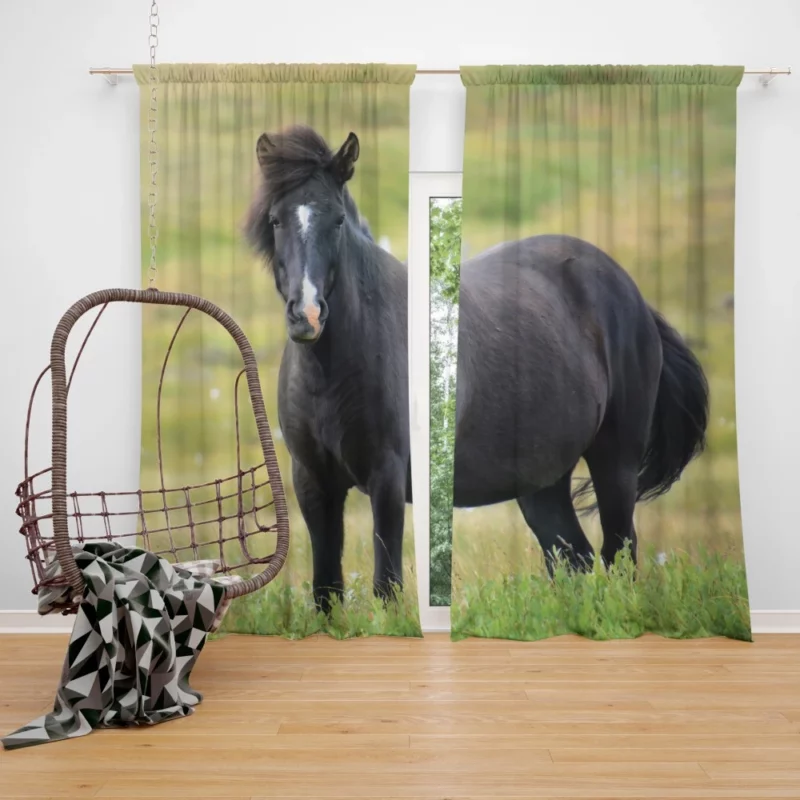 Horse Graceful Form Curtain