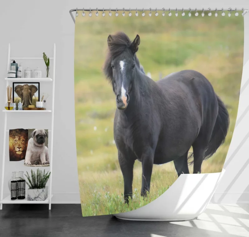 Horse Graceful Form Shower Curtain