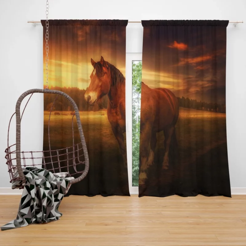 Horse Graceful Sunset Stance Nature Beauty Curtain