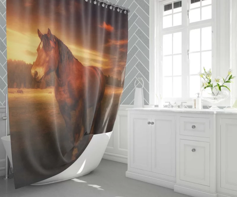 Horse Graceful Sunset Stance Nature Beauty Shower Curtain 1