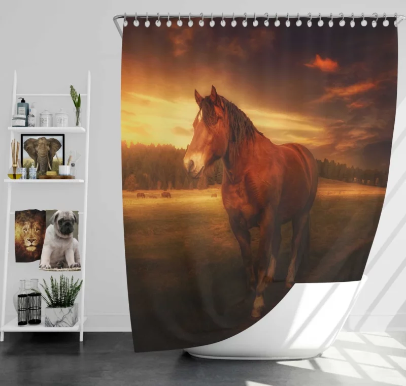 Horse Graceful Sunset Stance Nature Beauty Shower Curtain