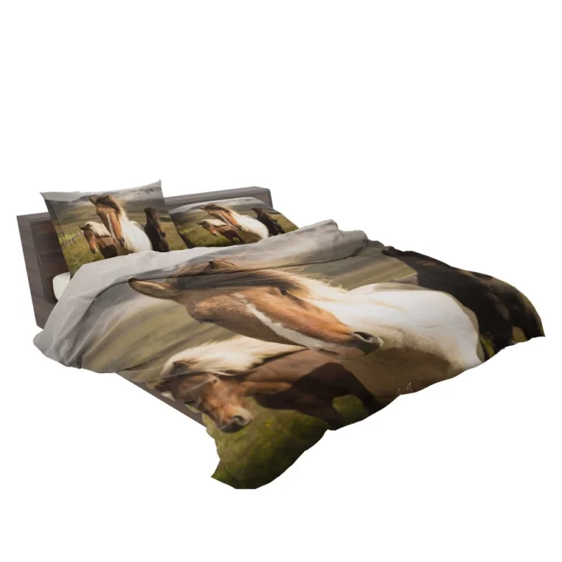 Horse Intense Stare Equine Majesty Bedding Set 2