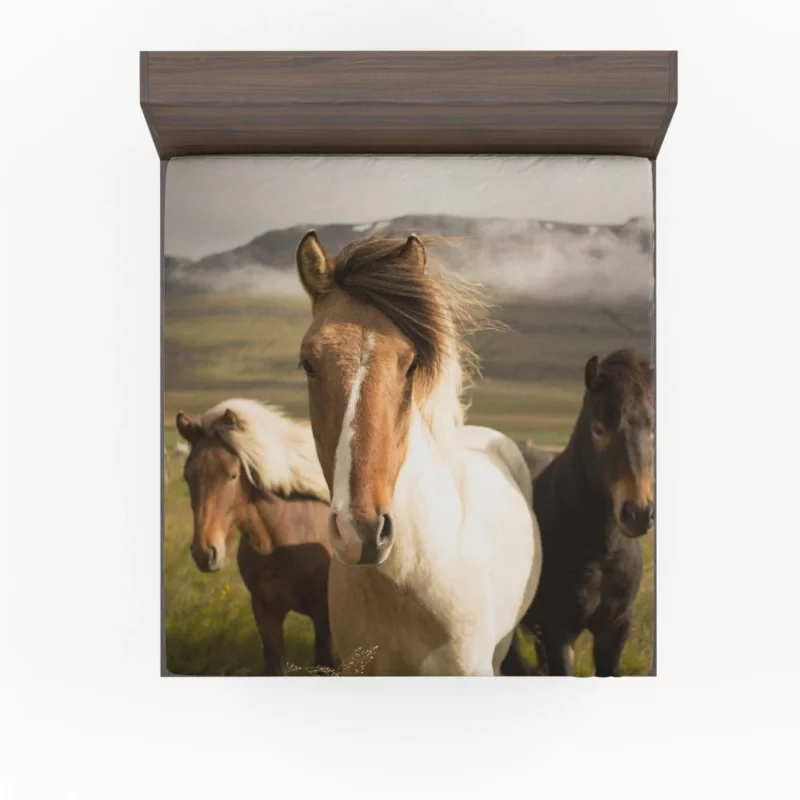 Horse Intense Stare Equine Majesty Fitted Sheet 1