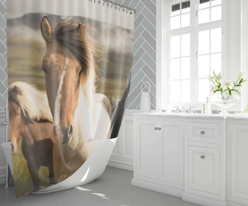 Horse Intense Stare Equine Majesty Shower Curtain 1