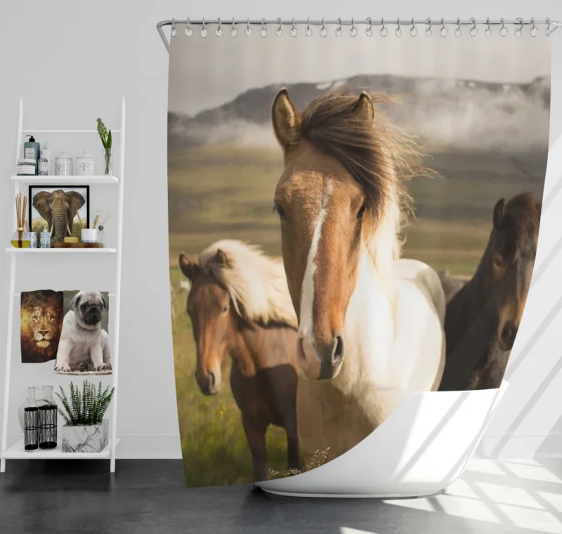 Horse Intense Stare Equine Majesty Shower Curtain