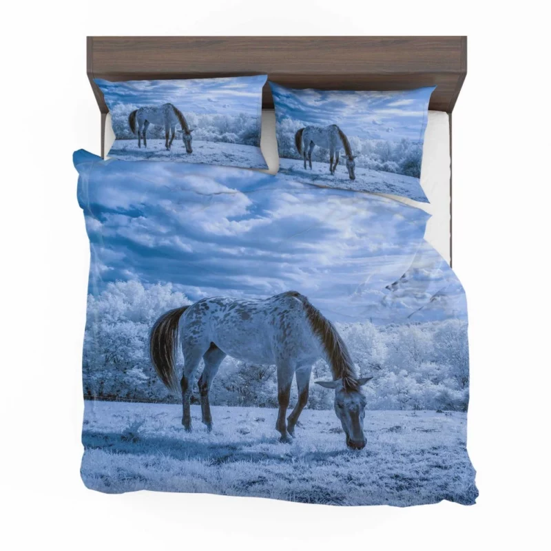 Horse Mighty Stride Equestrian Beauty Bedding Set 1