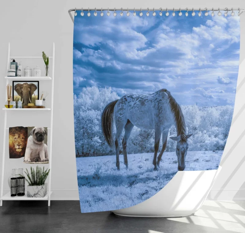 Horse Mighty Stride Equestrian Beauty Shower Curtain