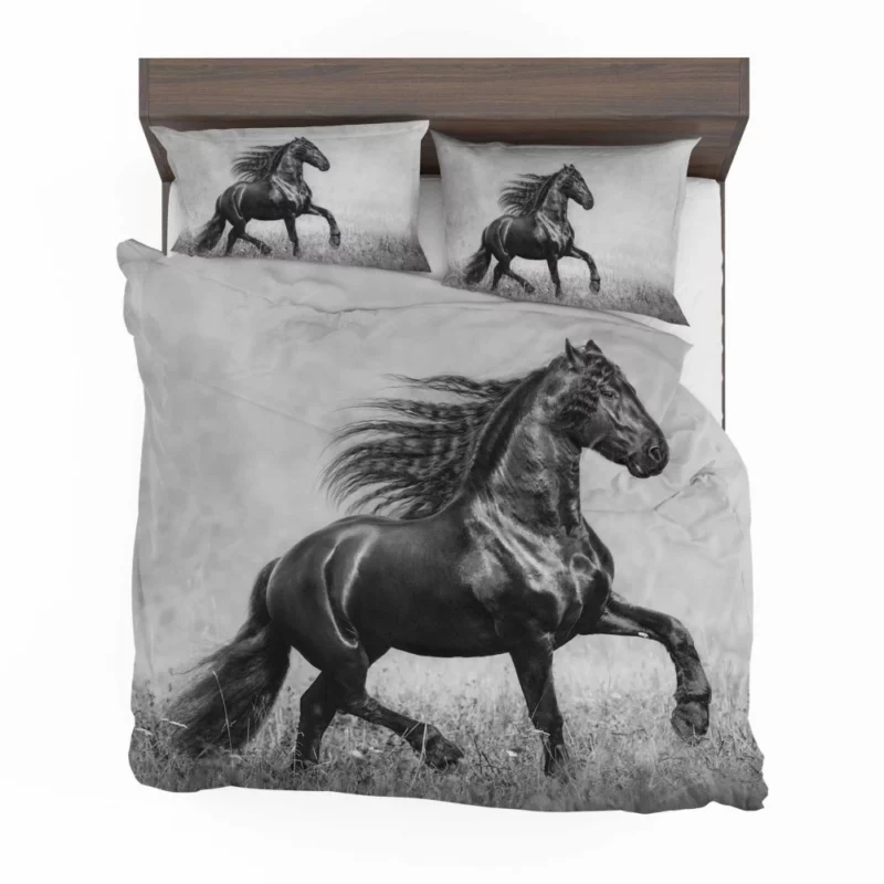 Horse in Black & White Graceful Majesty Bedding Set 1