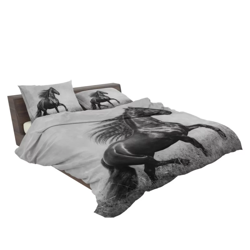 Horse in Black & White Graceful Majesty Bedding Set 2